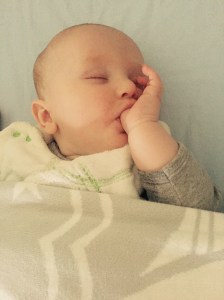 Sleeping Master Menzies